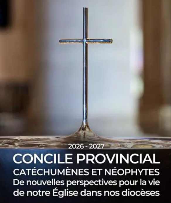 Concile provincial